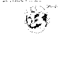 Mario Mayhem
