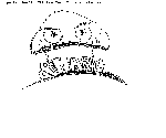 Mario Mayhem