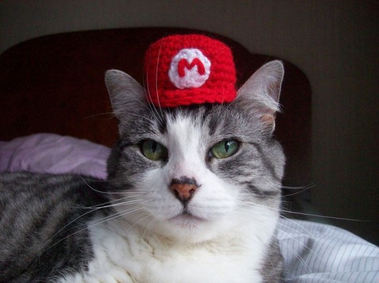 smb cat wearing mario hat.jpg
