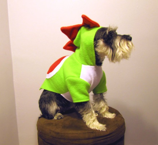 smb yoshi dog costume.jpg
