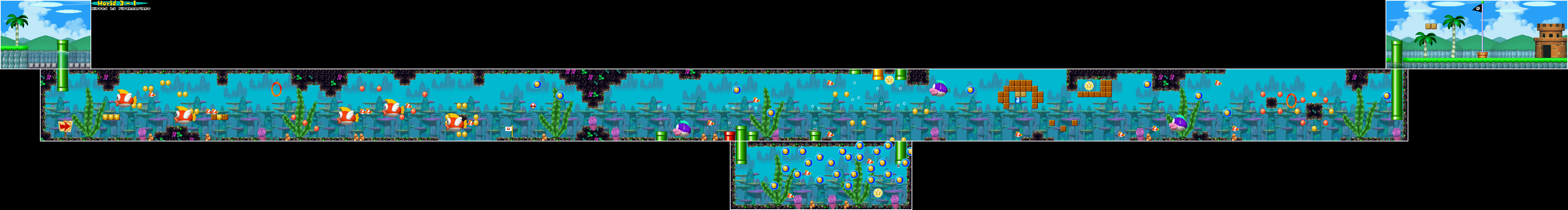 new super mario bros ds world 3 secret levels