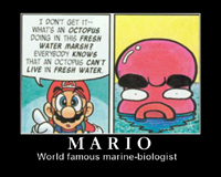 Mario Demotivational Posters