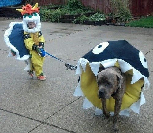 Nintendo dog costume sale