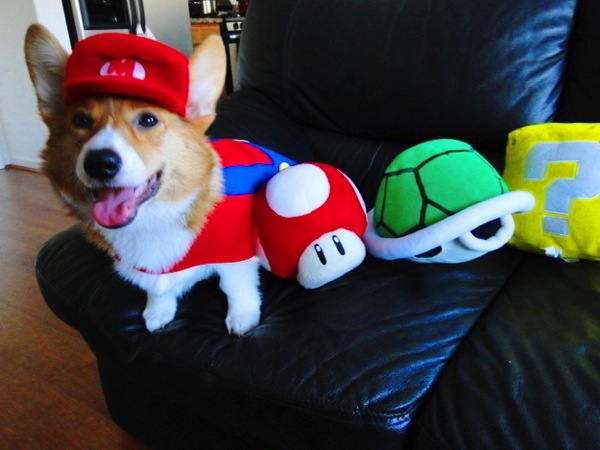 Nintendo dog best sale costume