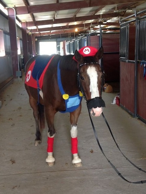 smb horse super mario costume.jpg